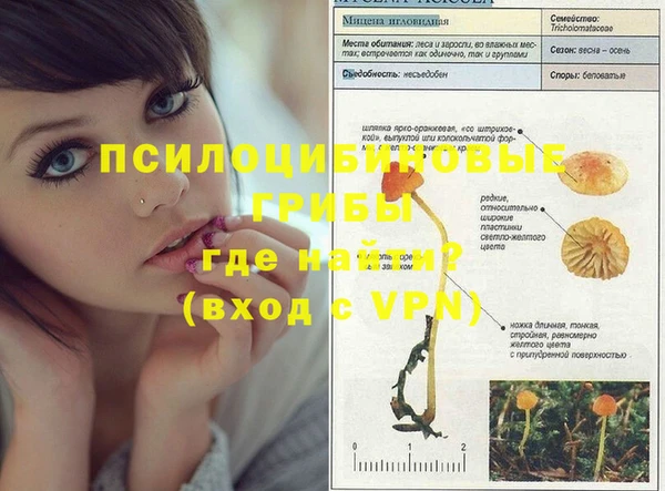 скорость mdpv Нефтекумск